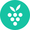 Berrycast: Simple Screen Recorder & Sharing Tool icon