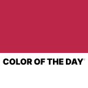 Color of The Day icon