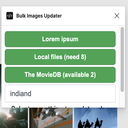 Bulk Images Updater icon